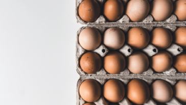 14-day boiled egg diet