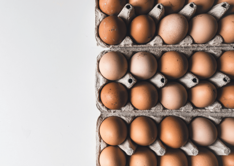 14-day boiled egg diet