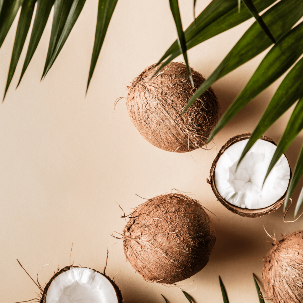 coconut on keto diet