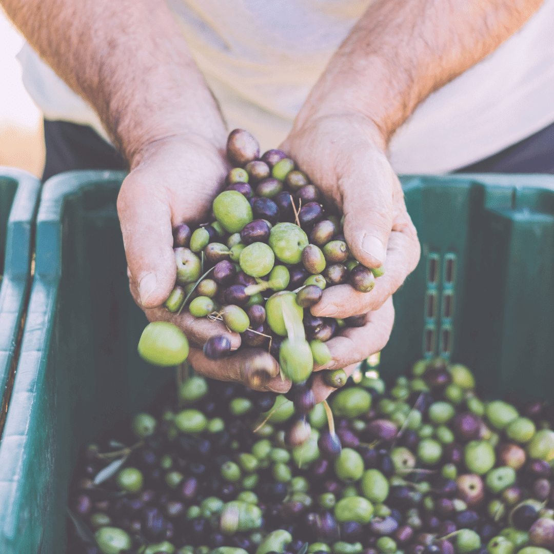 olives on keto diet