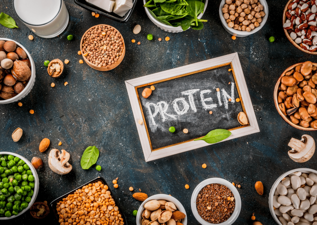 why is protein important